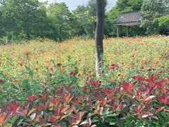 -乌石塘景区