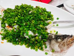葱花鲈鱼-山泉公馆酒家(广州东站店)