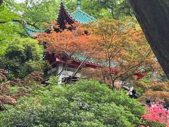 -岳麓山风景名胜区