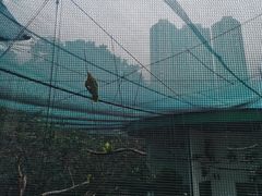 -九龙公园