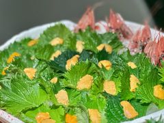 -初花·日本料理