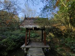 -杭州半山国家森林公园