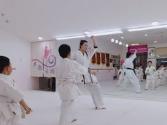 -极真空手道修远道场