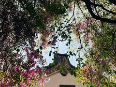 -深圳国际园林花卉博览园