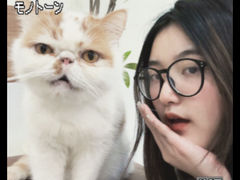 -共舞时光猫咖·狗咖(新街口店)