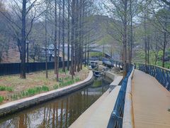 -白水寺森林公园