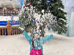 -长沙湘江冰雪世界