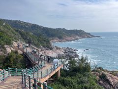 -广东惠东海龟国家级自然保护区