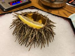 -黄寺蒸汽海鲜(黄寺大街店)