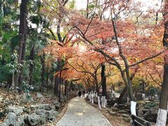 -虞山风景区