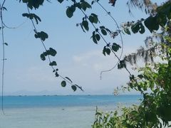 -三亚西岛海洋文化旅游区