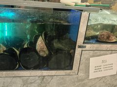 -渔洲情海鲜酒家