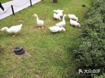 选一个清朗的好天气，带上家人去玩吧。儿童娱乐场所