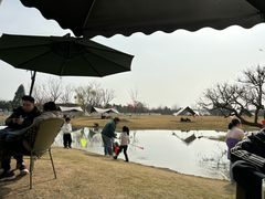 -夏河溪乡野公园