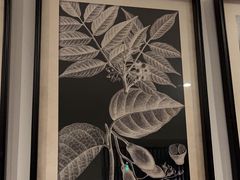 -峨嵋一派