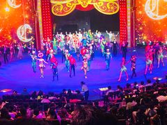 -珠海横琴长隆《卡卡虎奇遇记》