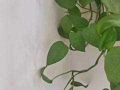 -东方足浴·洗浴SPA会所(长治路店)