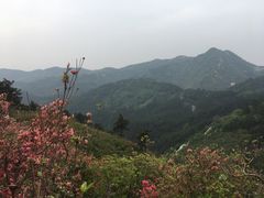 -木兰云雾山