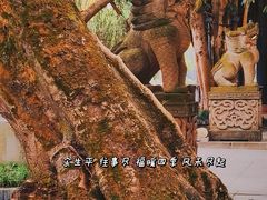 -黄龙溪古镇
