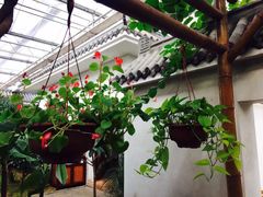 -汤山翠谷生态餐厅