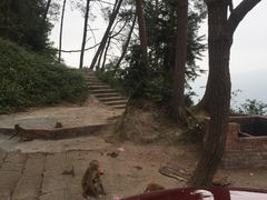 -重庆雨台山风景区