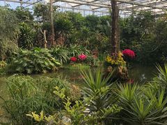 -南通洲际绿博园