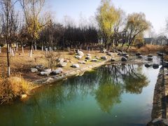 -Supine Bistro溯泮餐厅