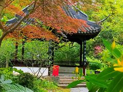 -上海醉白池公园
