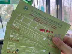 -合肥滨湖国家森林公园