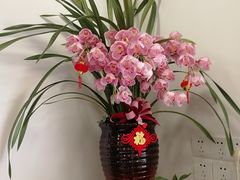 -FEI FEI FLOWER鲜花店·气球派对·宝宝宴布置(虹口德必运动Loft店)