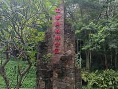 -王借岗森林公园