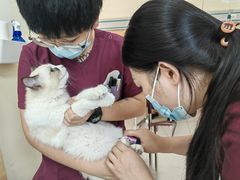 -美联众合动物医院·24h京西诊疗中心
