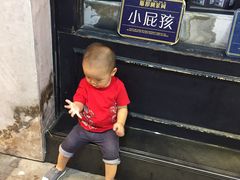 -贝壳梦幻世界