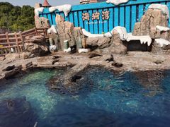-杭州长乔极地海洋公园
