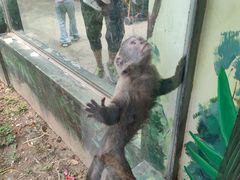 -西安秦岭野生动物园