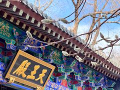 -护国法轮寺
