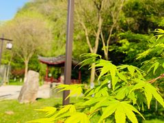 -幕燕滨江·长江观音景区