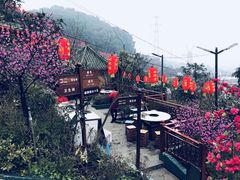 景观位-枇杷园食为鲜火锅(南山店)