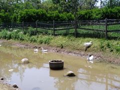 -前小桔亲子创意农场·草莓采摘·露营烧烤