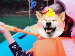 -将军关探险漂流