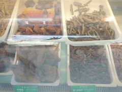 -紫光园清真北京小吃(广渠门内店)
