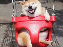 -美滋每客(太原龙湖苏宁百货店)