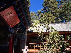 -寂照庵
