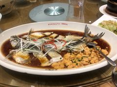 翘嘴鲌鱼-丹江渔村(望京店)