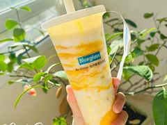 -Blueglass酸奶(世纪金源购物中心店)