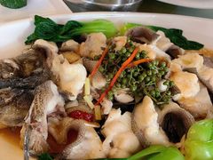 鲜花椒蒸鱼-牛头鱼庄(高新店)