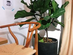 -Oasis coffee燕谷咖啡(公信店)