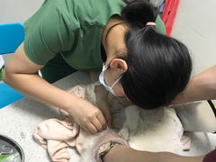 -瑞鹏·疫苗·绝育·宠物医院(金沙洲店)