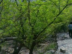 -东海大峡谷