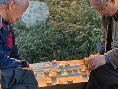 -成都市活水公园